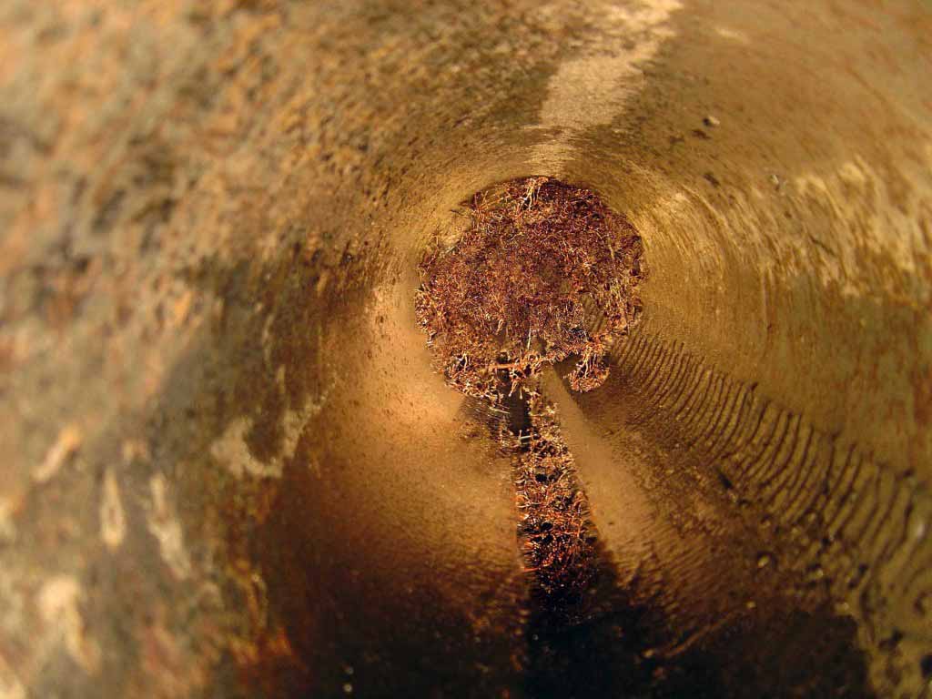 roots-in-pipes