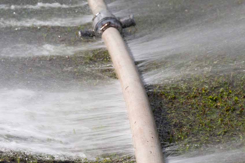 Why You Should Never Delay Plumbing Repairs Why You Should Never Delay Plumbing Repairs